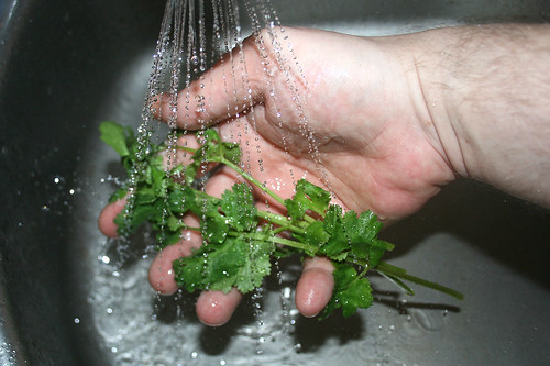 46 - Koriander waschen / Wash coriander