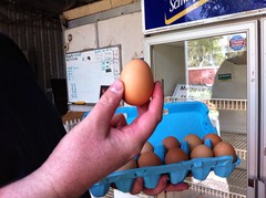 Boyanup Free-Range Eggs