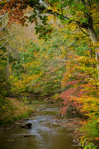 unitedstates westvirginia fairmont woodsforest autumnfall streamscreeksrivers prickettsfortwestvirginia