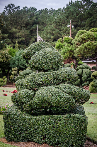 Pearle Fryer Topiary Garden-002