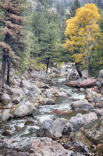 autumn trees portrait mountains tree season golden colorado seasons view scenic aspens rockymountains flowing aspen canyons bouldercounty lefthandcreek jamesinsogna