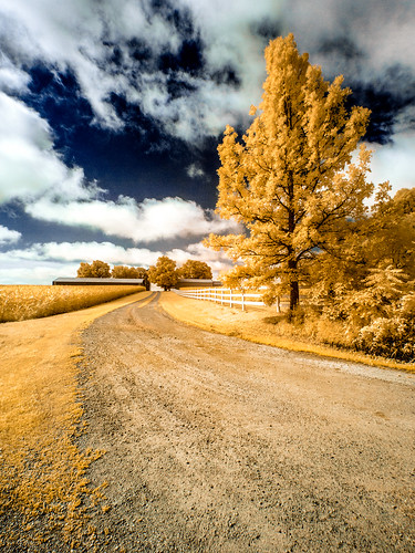 road blue trees sky field grass leaves sign clouds barn rural fence landscape ir gold drive illinois corn unitedstates lane infrared converted orangeville posts gravel falsecolor m43 infraredcamera micro43 microfourthirds 665nm 665nminfrared