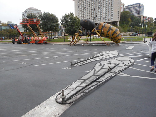 giant wasp (2)