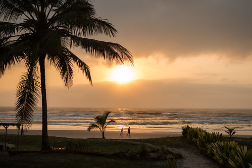 trees sea brazil people sun sunlight praia beach silhouette brasil sunrise sand palm palmtrees bahia ilhéus cassijones cassijonescom cassianorosario