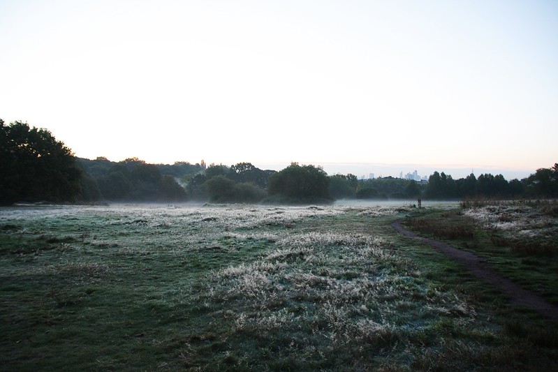 Hampstead Heath at dawn - London park