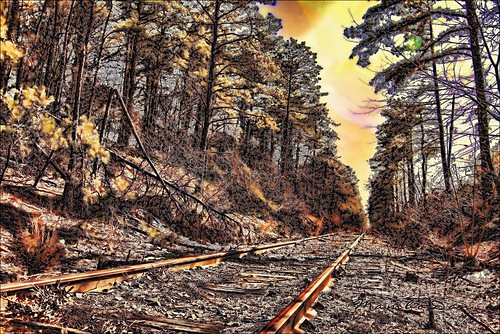 railroad autumn woods tracks nj southcentral