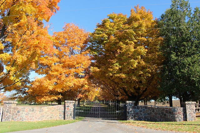 fall-leaves-stone-gate
