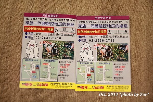 三芝 番婆林挖地瓜 2014/10/26