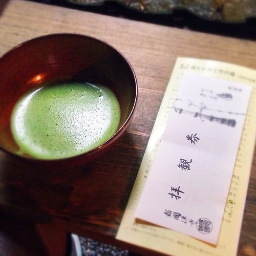 Matcha tea in the bamboo forest "hokokuji" #報国寺 #japan #kamakura