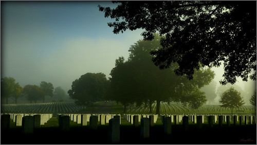 travel cemetery fog sunrise photography photo sony stlouis national missouri aq