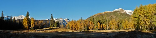 Panorama From Williams Creek Trail