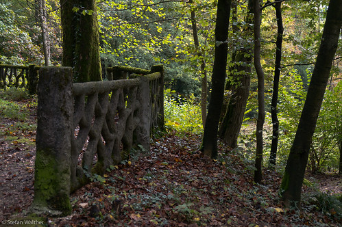 autumn fall stone forest fence schweiz herbst border wald solothurn stonefence verenaschlucht