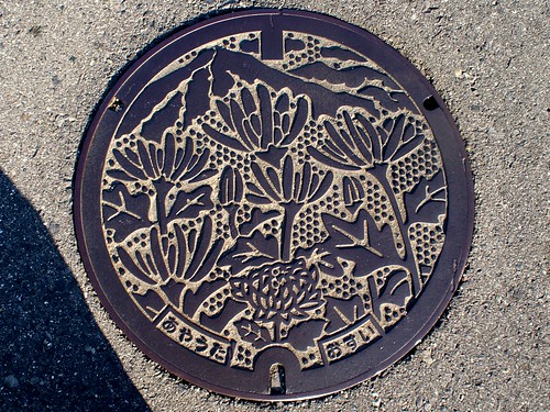 Ayauta Kagawa, manhole cover 2 （香川県綾歌町のマンホール２）