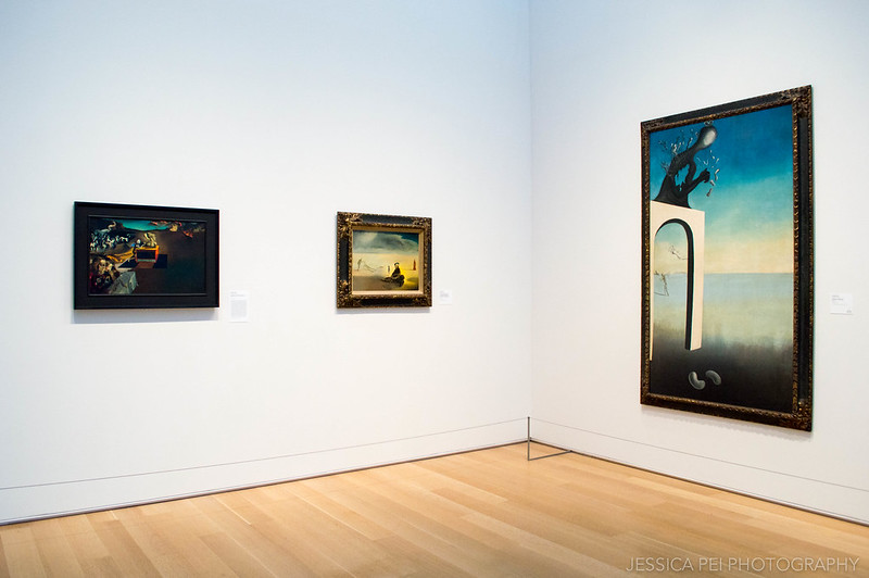 Salvador Dali Surrealist Paintings in Modern Art Gallery in Art Institute of Chicago