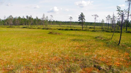 summer sol finland landscape geotagged july lapland fin bog pep lappi 2014 sodankylä 201407 20140724 tiukujänkä geo:lat=6744407933 geo:lon=2620113137