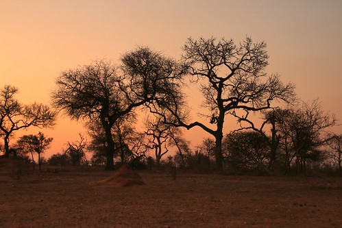 africa southernafrica sunset