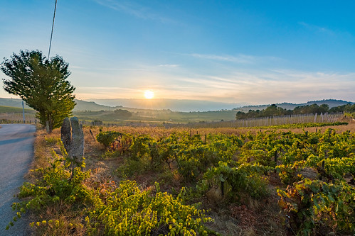 portugal wine sunset landscape sky altodouro