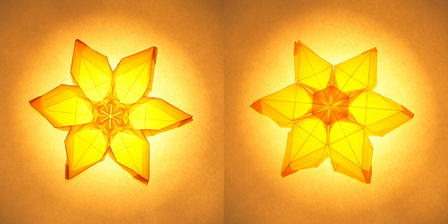 Backlight Origami Hexagon Flower Container (David Martínez)