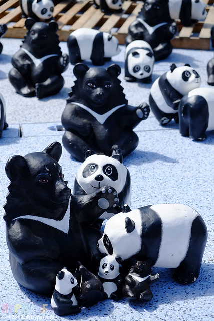10/10-10/12 再見貓熊x哈囉台中 &#8211; Panda World Tour最終站@台中國家歌劇院 @強生與小吠的Hyper人蔘~
