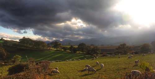 autumn shadow panorama clouds landscape sheep goldenhour lowsun graig northwales glanconwy welshlandscape myautumn bbcwalesnature canoneos550d ashperkins potd:country=gb