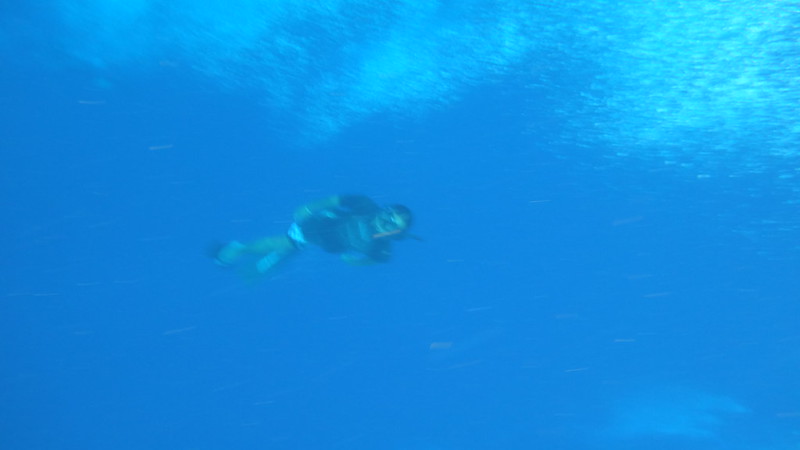 Placencia diving