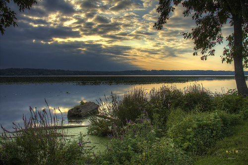 sunset fall water beautiful clouds photoshop canon river evening illinois sundown hamilton shoreline logs peaceful bank iowa il lilies shore mississippiriver wildflowers mighty tranquil hdr pads lightroom photomatix 60d canoneos60d stephenfrazier keokuck stevefrazierphotography