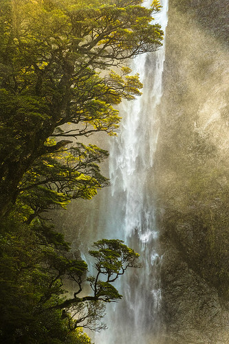 newzealand tree waterfall sigma devilspunchbowl dp3m