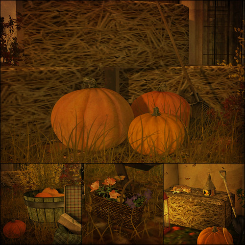 Harvest Picnic Collage2