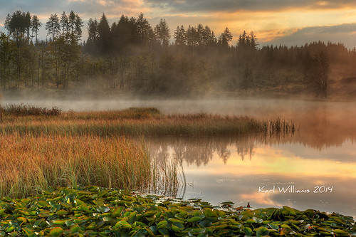 mist water forest reeds landscape scotland morninglight williams waterlilies karl trossachs hdr zenfolio mistandfog lochrusky karlwilliams