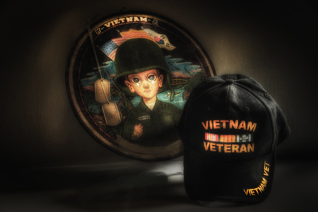 A Tribute To Viet Nam Vets