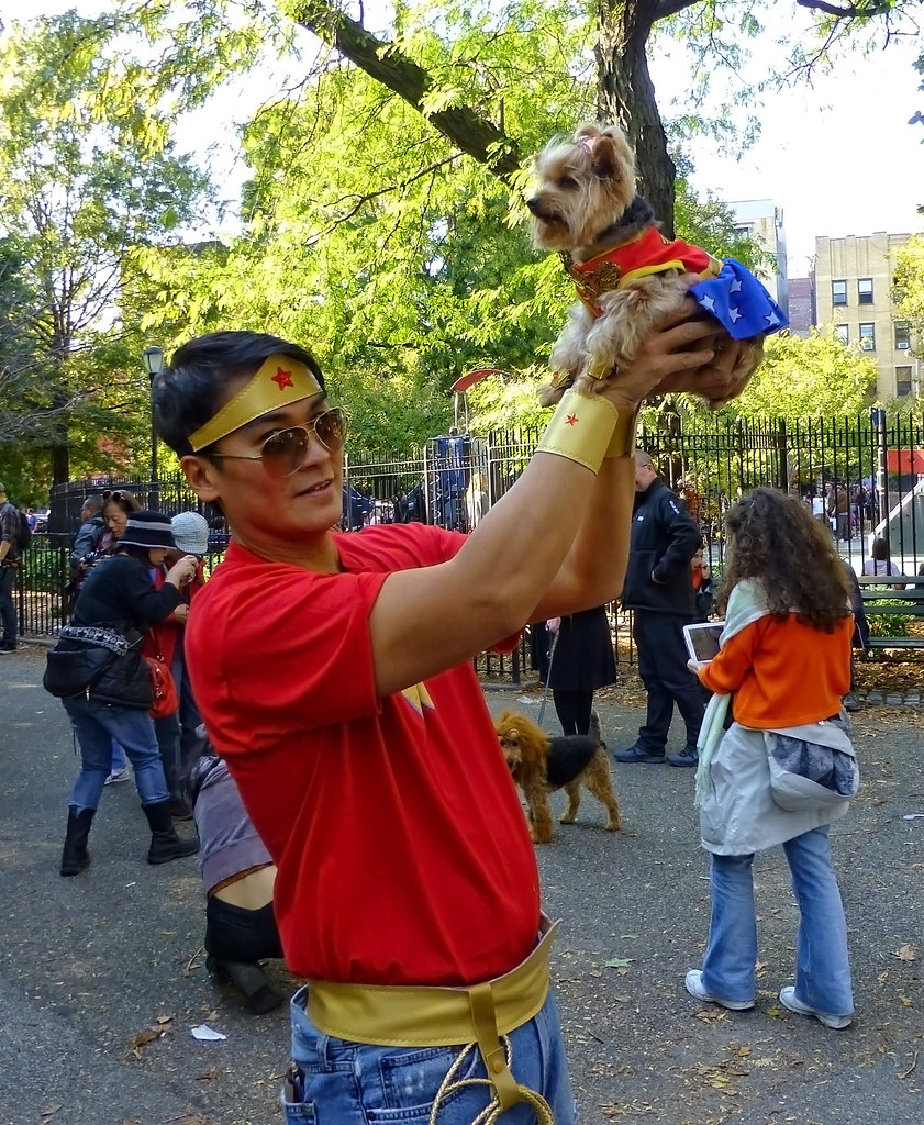 2014 Halloween Dog Parade