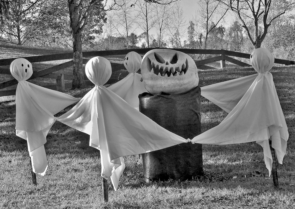 Ghost Dancers by Brian Craig