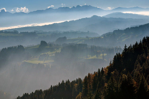 mist mountain berg misty fog forest schweiz switzerland nebel minolta sony hill foggy bern alpha wald 77 hdr dunst soupy emmental 70200mm hügel neblig photomatrix eggiwil 2682118 slta77v