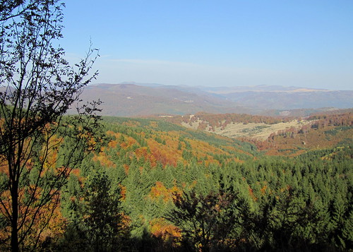 autumn mountains forest landscape land hegy transylvania transilvania táj tájkép gutin erdély ősz erdő canonpowershotsx20is