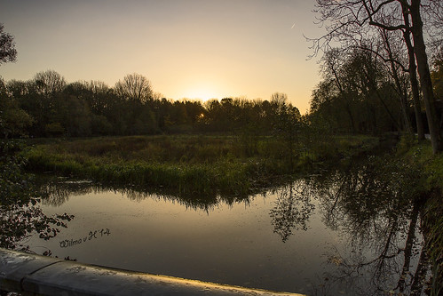 netherlands sunrise reflections nederland silhouettes dordrecht ponds goldenhour dubbeldam overkamppark dubbelmondenpark dordtwijkestate