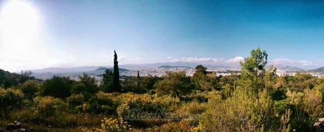 view 0002 Alsos Skopeftiriou hill, Athens, Greece