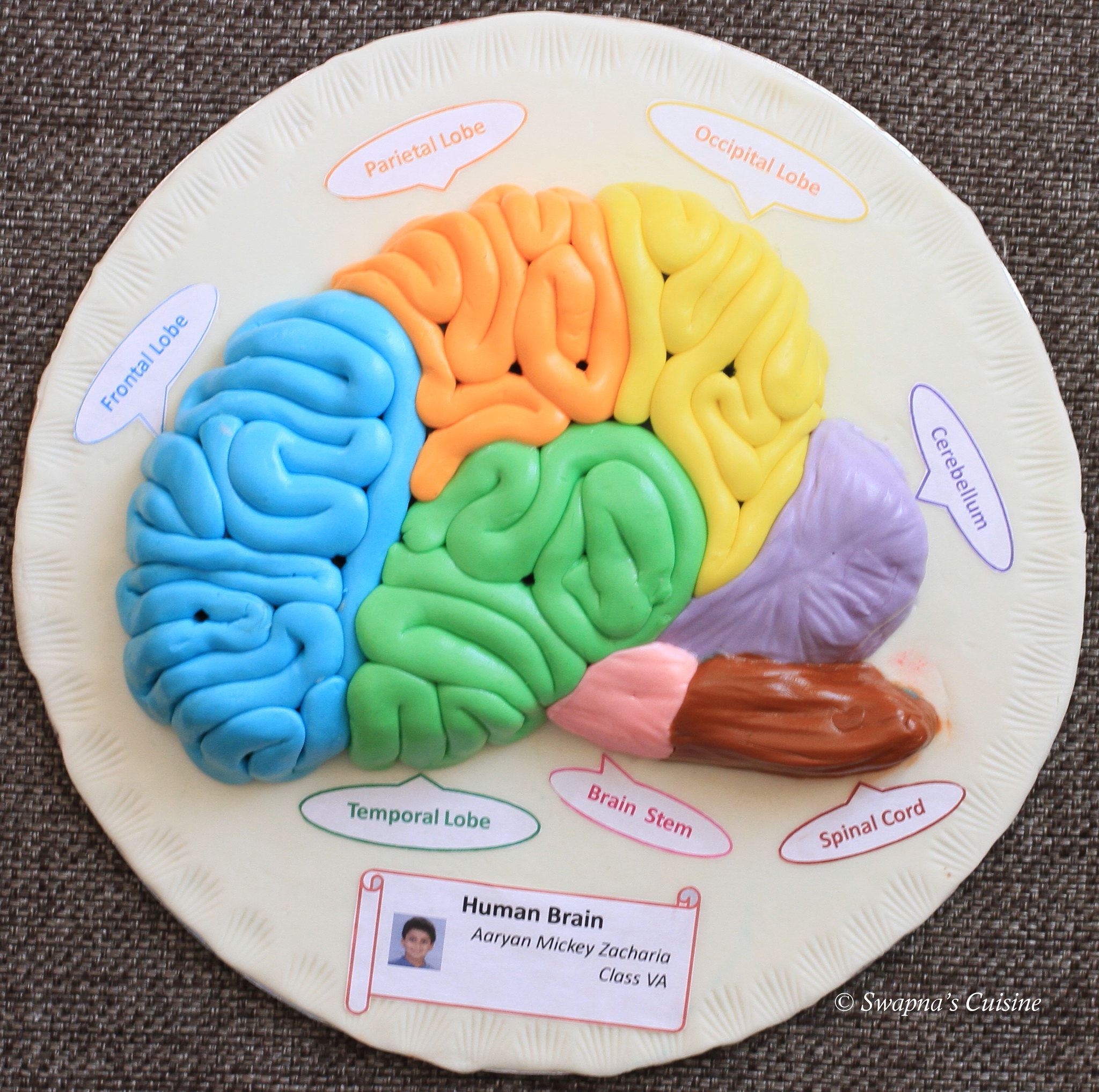 Swapna's Cuisine: Model of Human Brain with Fondant