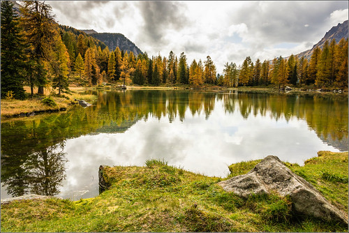 italy lake nature nikon san italia raw natura val di autunno riflessi trentino dolomiti pellegrino laghetto passo moena fassa passosanpellegrino larici d7100