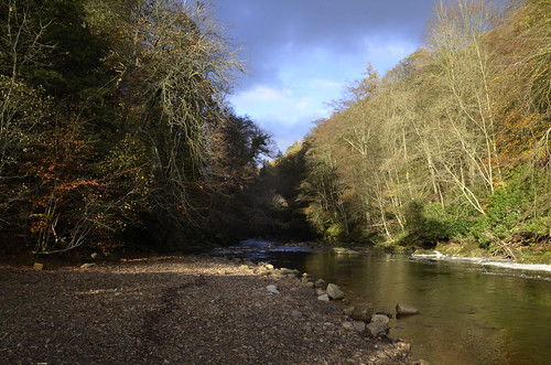 uk england nature water forest river landscape allen northumbria gorge nationaltrust allenbanks uknature stawardgorge allenbanksandstawardgorge d7000