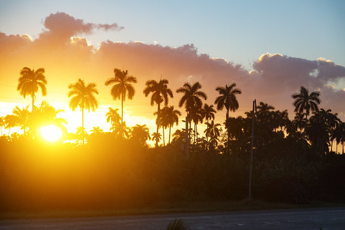 cuba temaresor sunset lahabana cu palms clouds