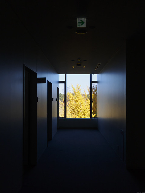 autumn at the end of a corridor