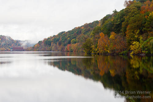 wood autumn lake reflection fall nature water leaves forest leaf wv westvirginia morgantown cheatlake