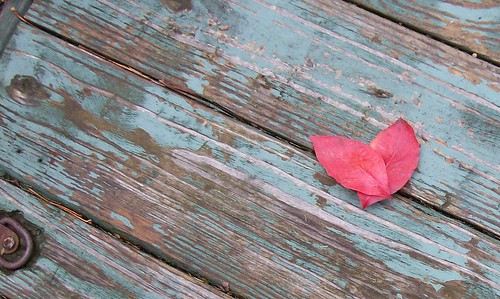 red leaf heart on weathered turquoise door