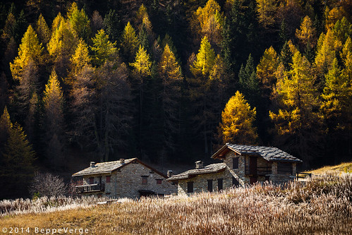 autumn alps foliage autunno alpi valledaosta arpy aceri baite beppeverge