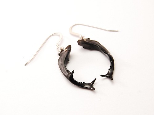 earrings- stag-beetle mandibolas (died naturally), silver