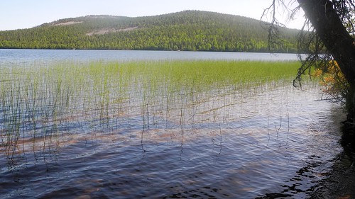 summer lake sol finland landscape geotagged july lapland fin lappi 2014 pyhäjärvi pelkosenniemi soutaja 201407 20140725 geo:lat=6704635465 geo:lon=2721493722