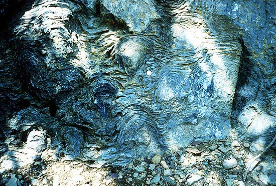 Stromatolites left behind by cyanobacteria from Glacier National Park in Montana