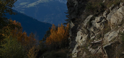 orange nature jaune automne rouge suisse arbres valais montagnes collonges forêts