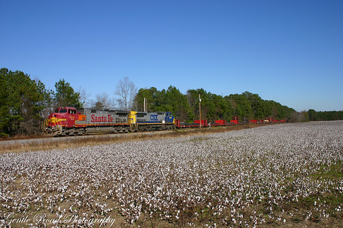 cottoncsxnorthcarolinavirginiafieldtrainfarmingharvestrailroad