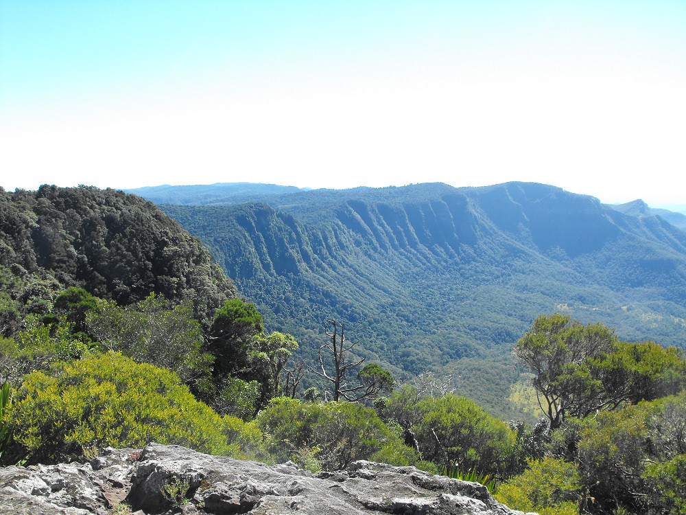 Mount Cordeaux - Main Range National Park - QLD